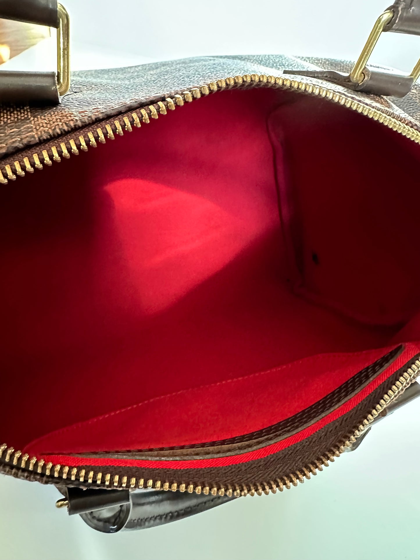 Louis Vuitton Damier Ebene Speedy 30